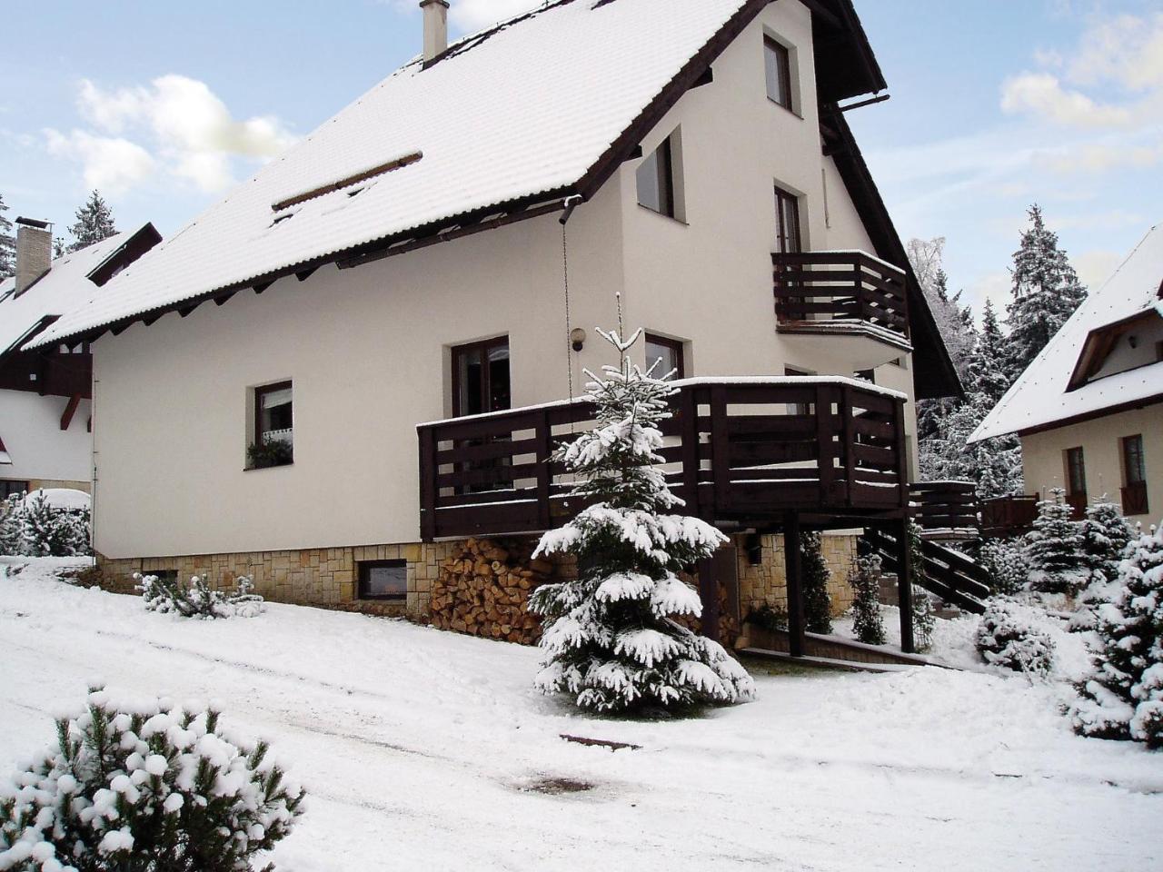 Apartment Harrachov/Riesengebirge 2400 Buitenkant foto